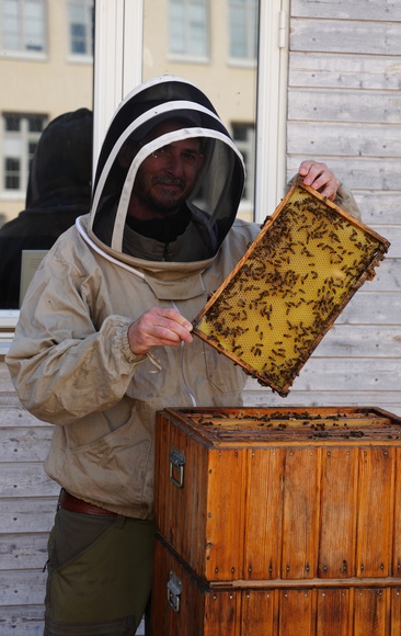 Ramon Armengol, biodlingsansvarig på Bee Urban.