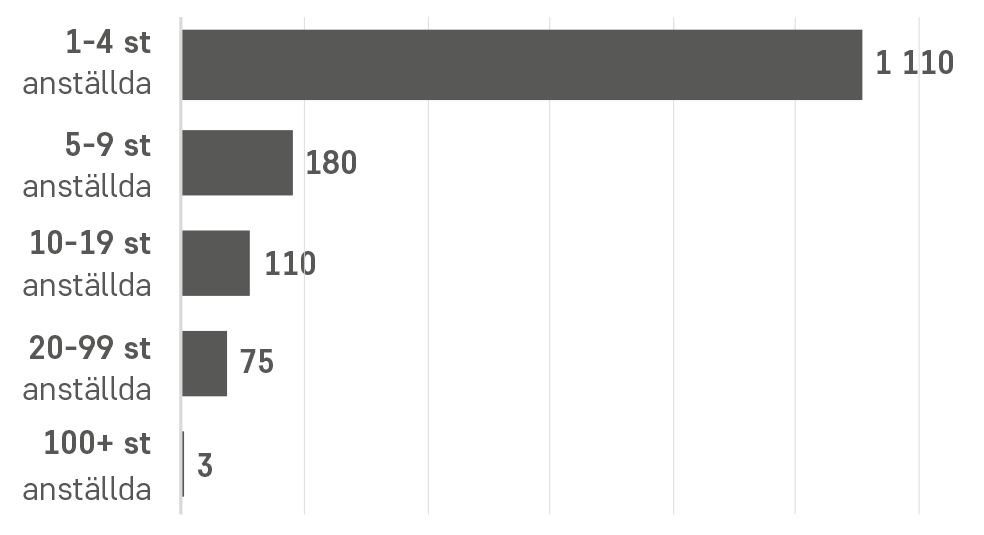 Antal företag per storleksklass inom trädgårdsanläggning 2025.