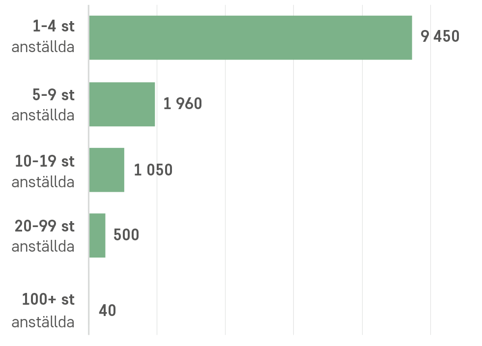Antal företag per storleksklass inom de gröna näringarna 2025.