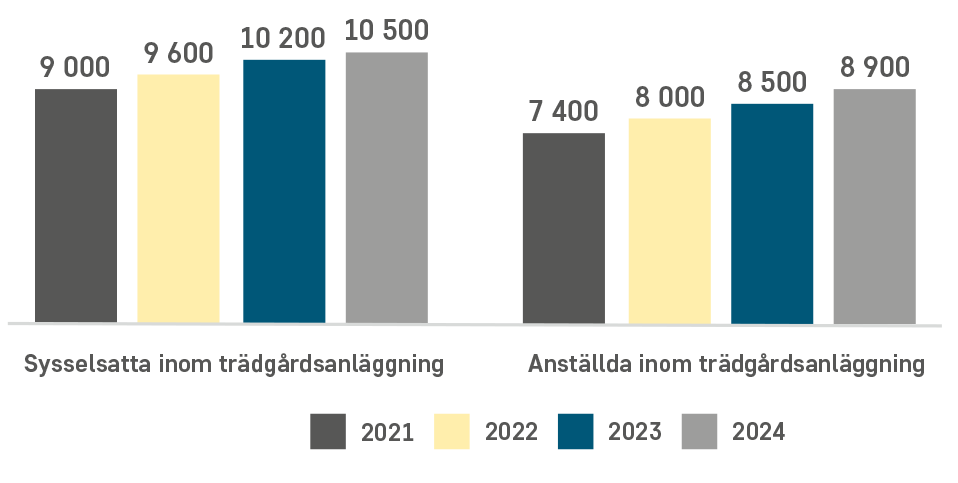 Antal sysselsatta och anställda inom trädgårdsanläggning 2021 till 2024.