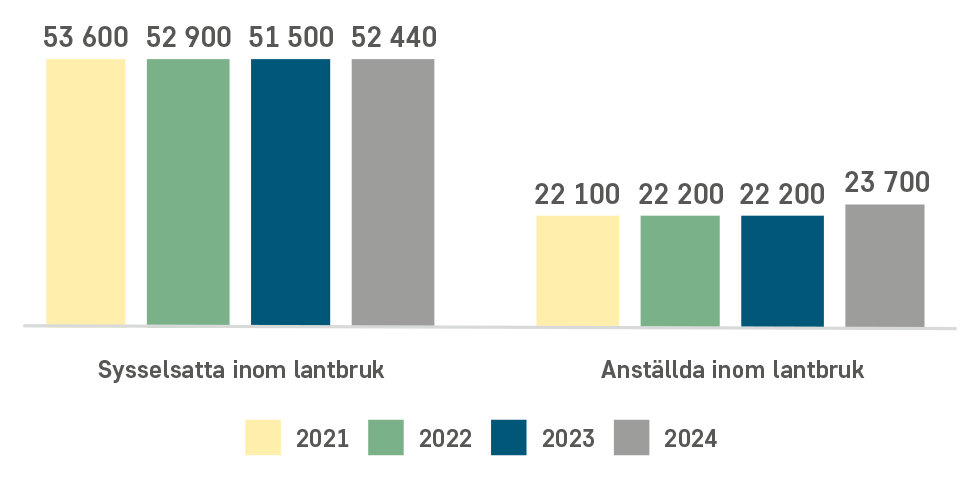 Antal sysselsatta och anställda inom lantbruket 2021 till 2024.