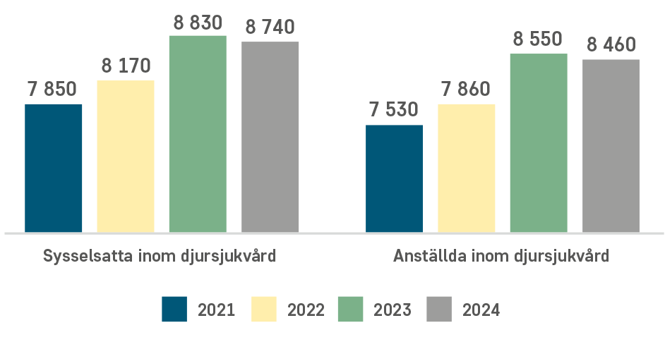 Antal sysselsatta och anställda inom djursjukvården 2021 till 2024.