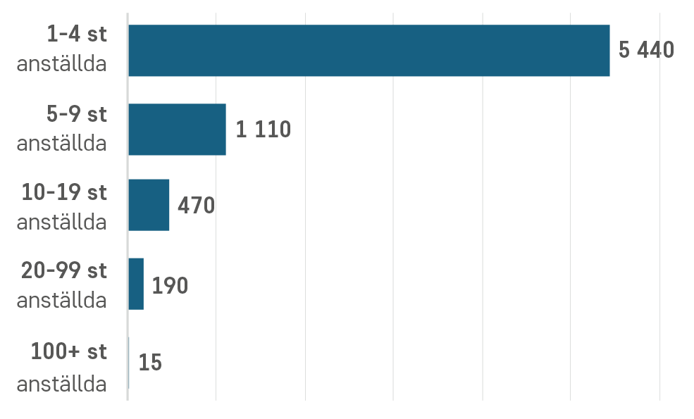 Antal företag per storleksklass inom lantbruket 2025.