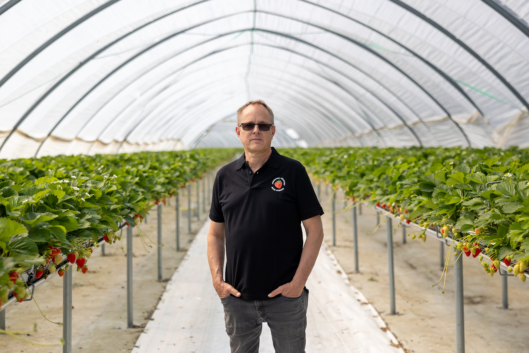 Fredrik H&ouml;renius, vd f&ouml;r Ulvagubben, framf&ouml;r jordgubbsland.