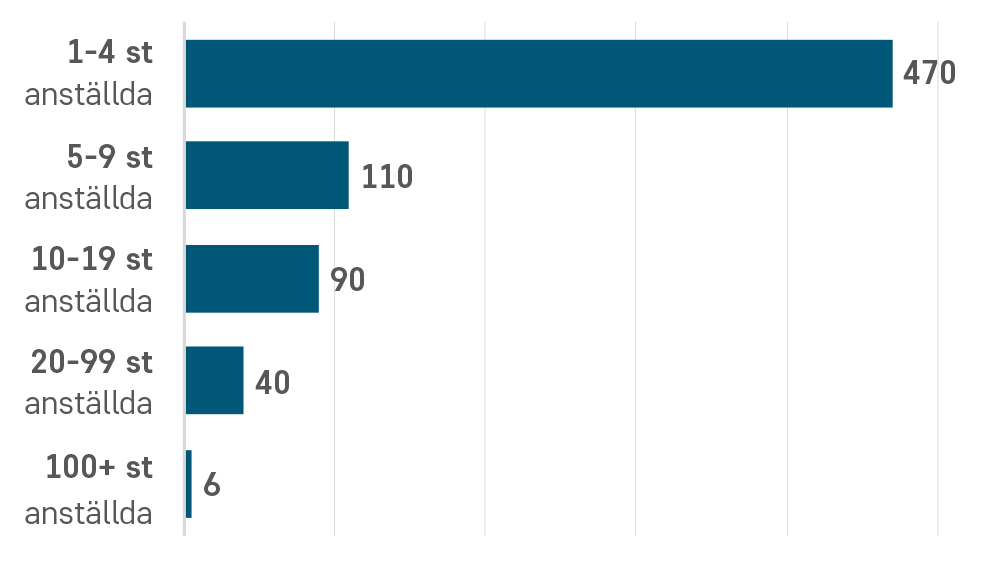Antal företag per storleksklass inom djursjukvård 2025.
